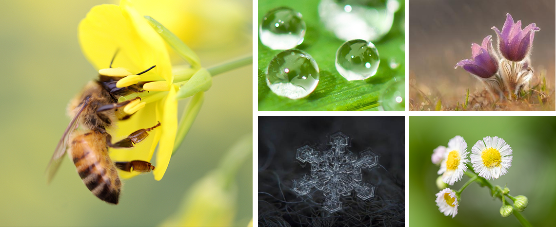 差異化應(yīng)用